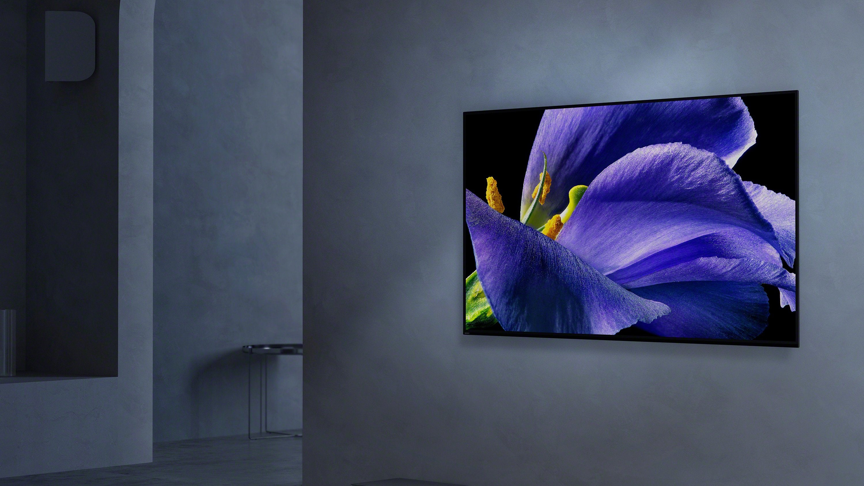 Sony OLED TV
