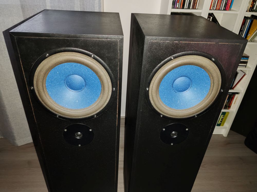 Audio Note AZ TWO Hemp coppia diffusori da pavimento USATO