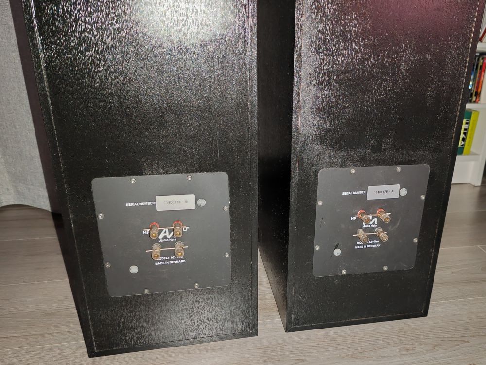 Audio Note AZ TWO Hemp coppia diffusori da pavimento USATO