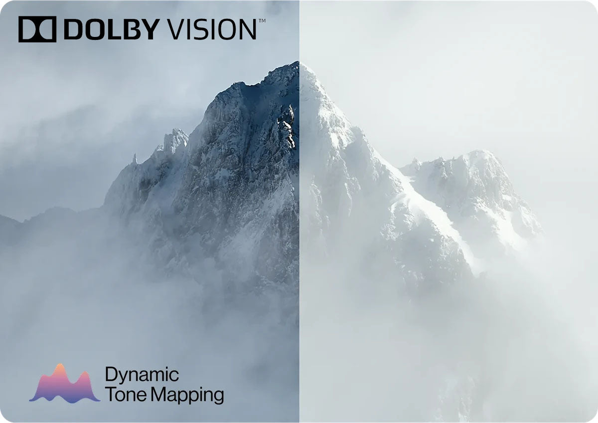 Valerion VisionMaster Max Dolby Vision