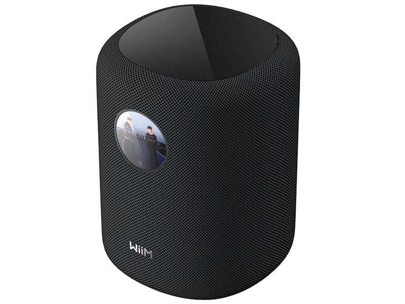 WiiM Sound Diffusore Wireless amplificato Serie Sound