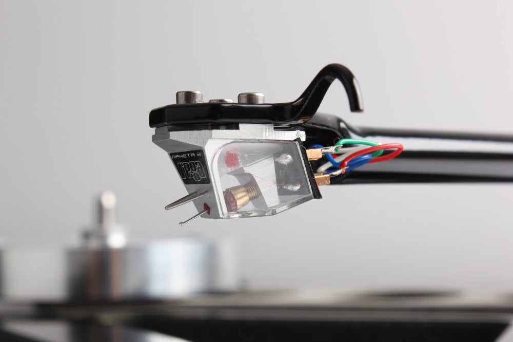 Testina MC REGA APHETA 3
