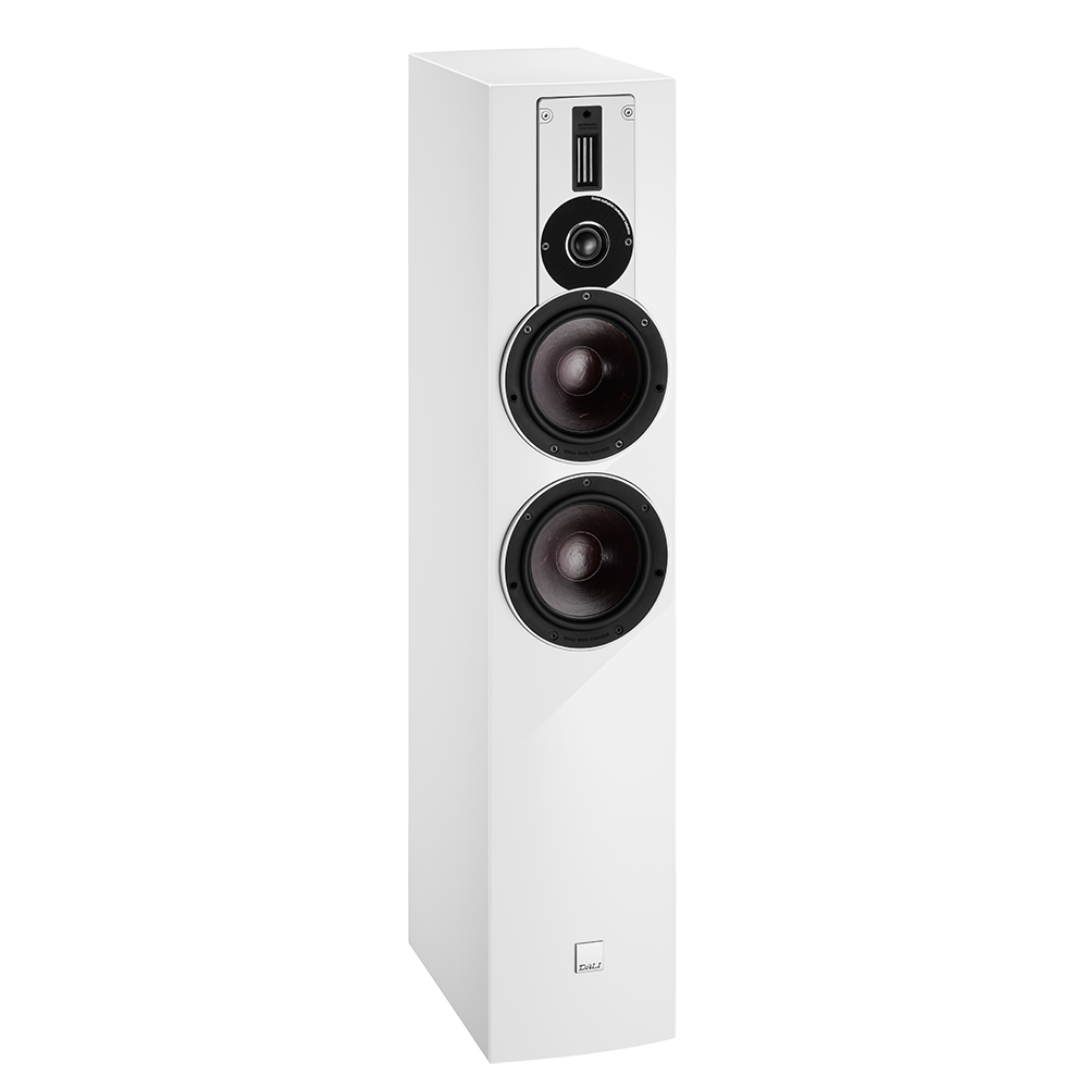 DALI RUBICON 6 Diffusori da pavimento