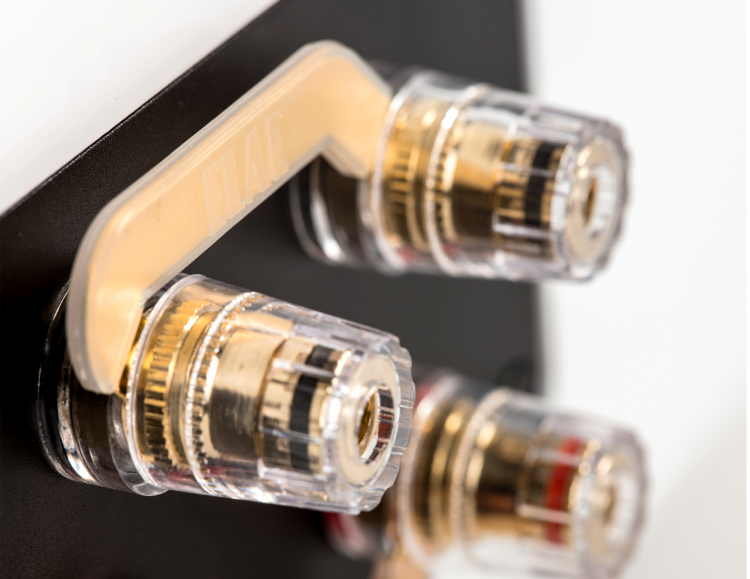 Elac Vela FS 407.2 coppia diffusori da pavimento