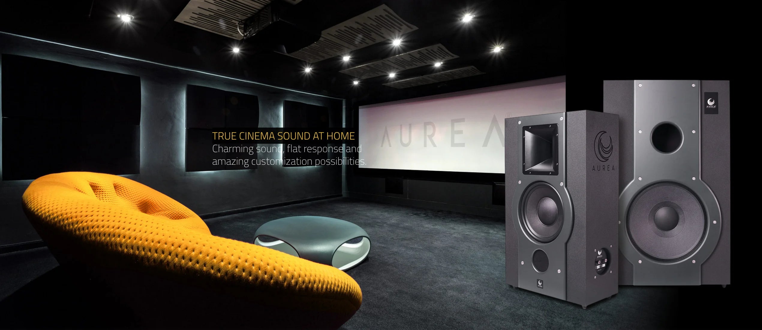 Diffusori Home Cinema