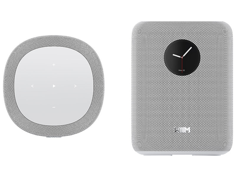 WiiM Sound Diffusore Wireless amplificato Serie Sound