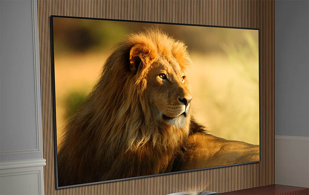 Hisense DLT90-B Schermo CLR alto contrasto Ex-Demo