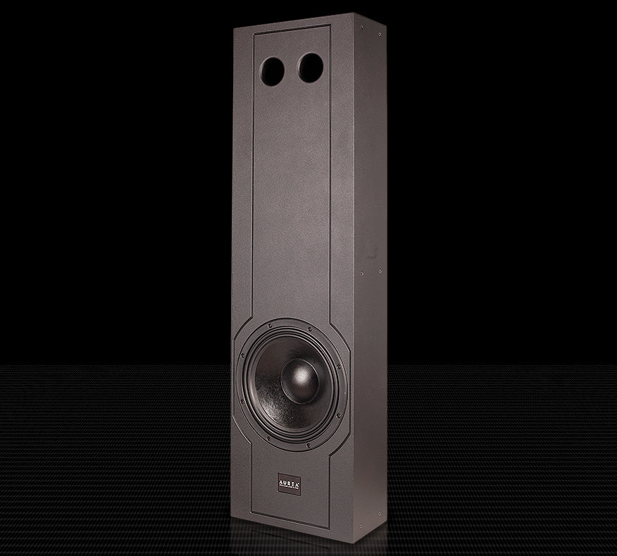 Aurea IW 12 SUB subwoofer da incasso passivo