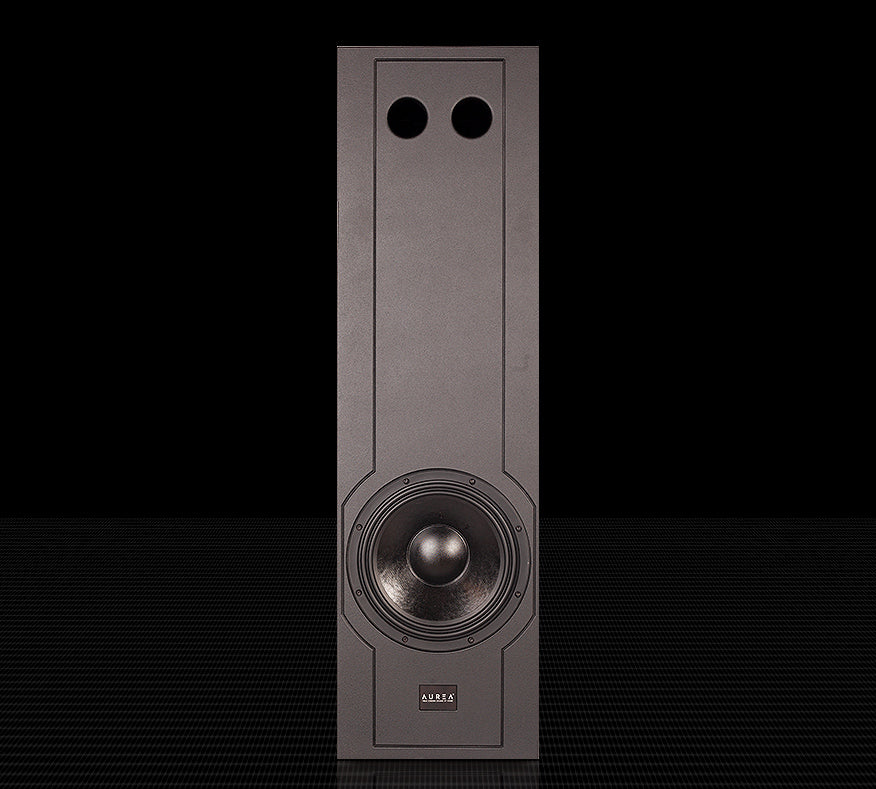 Aurea IW 12 SUB subwoofer da incasso passivo